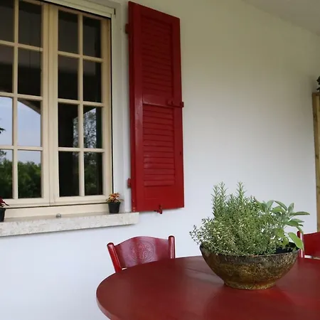 Casa Florin Apartment Desenzano del Garda